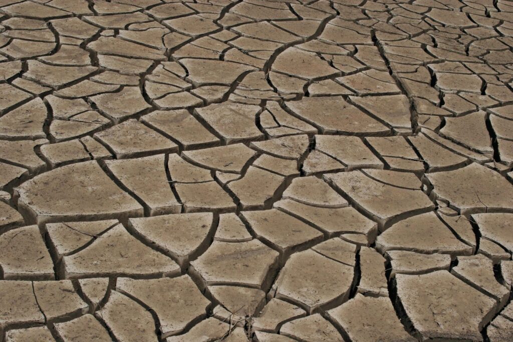 A close up of the cracked ground surface